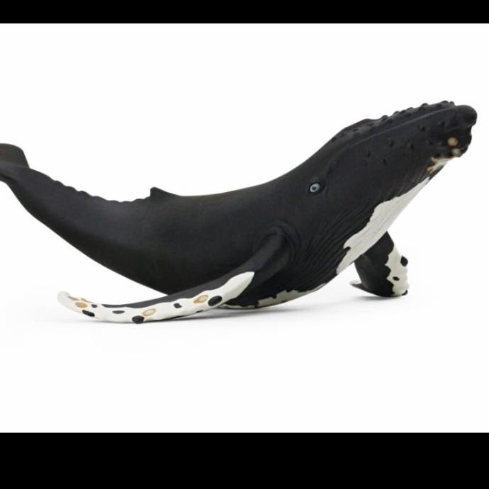 Mainan Boneka Remas Simulation Binatang Laut Ikan Paus Pembunuh