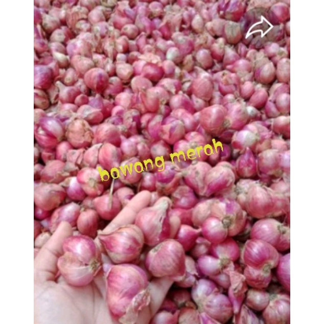 

bawang merah alami ya