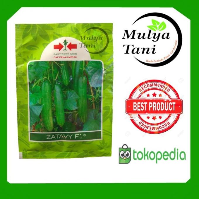 /////] Benih Timun Zatavy F1