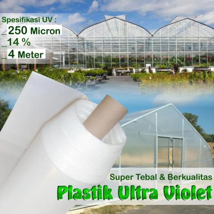 ] Plastik UV Ultraviolet 250 Micron 4 Meter