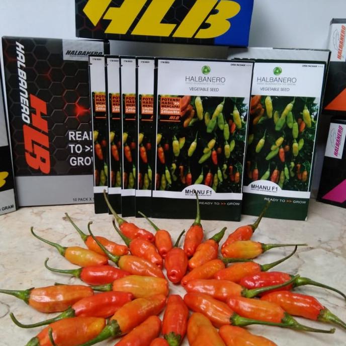 ___] Benih Cabe Varietas Mhanu Prayit F1