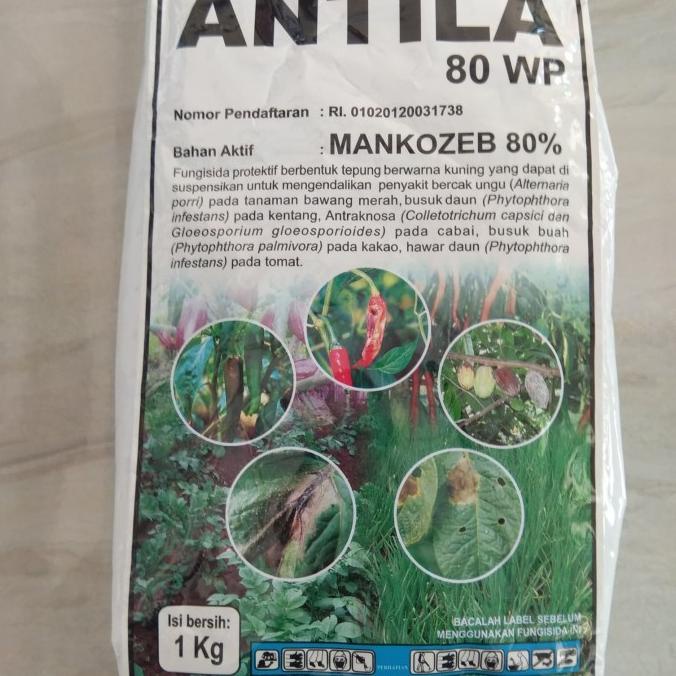 +++++] Fungisida Antila 80WP