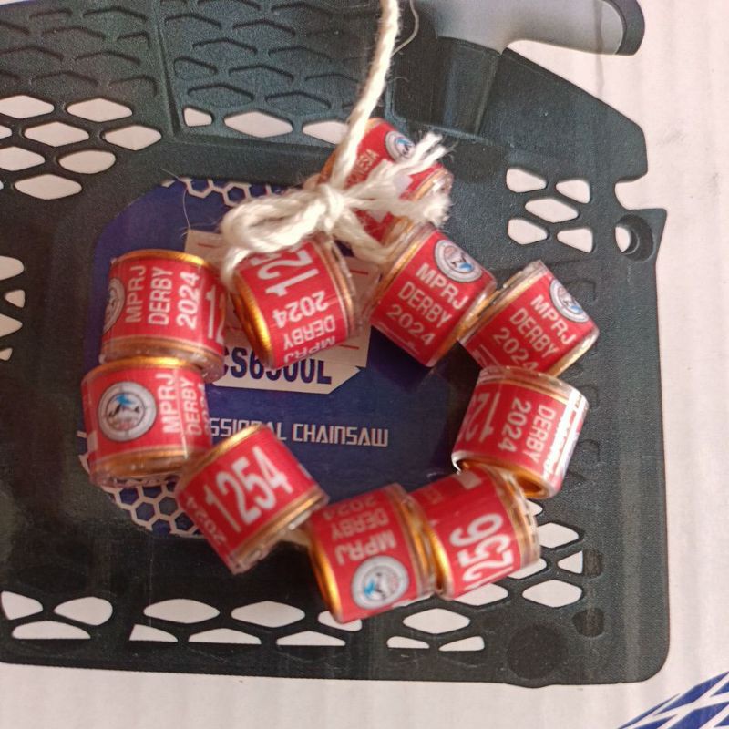 RING MERPATI CINCIN GELANG MERPATI POS MPRJ DERBY24 RESMI