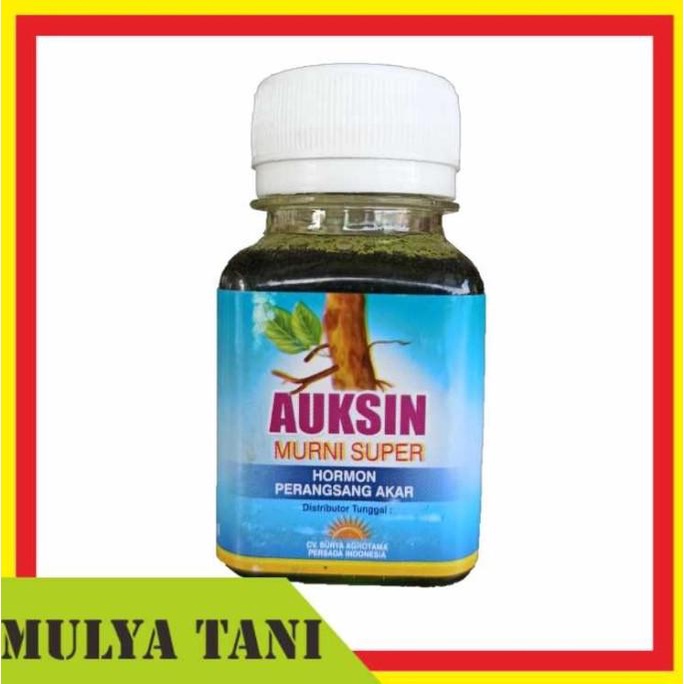 +++++] Hormon Auksin Murni Hormon Akar 60 ML