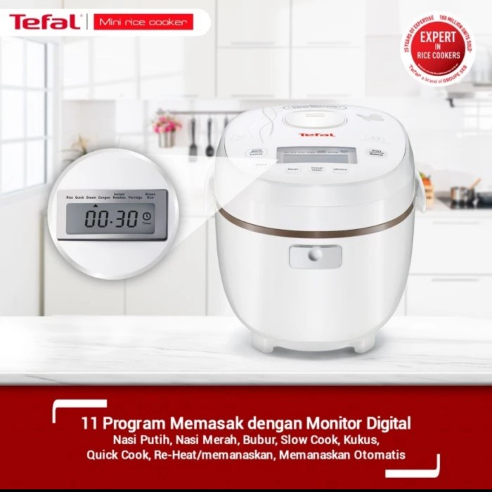 tefal mini cooker rk5001. rice cooker magic com