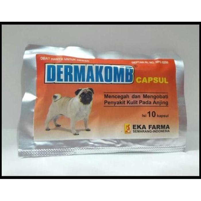 DERMAKOMB KAPSUL OBAT KULIT ANJING GATAL GATAL BULU RONTOK MURAH