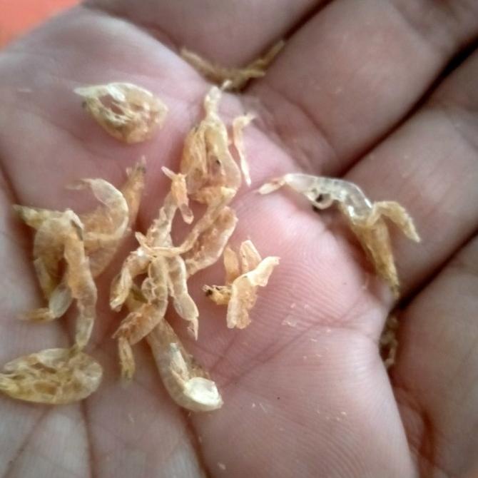 

udang rebon kering tawar 500 gram