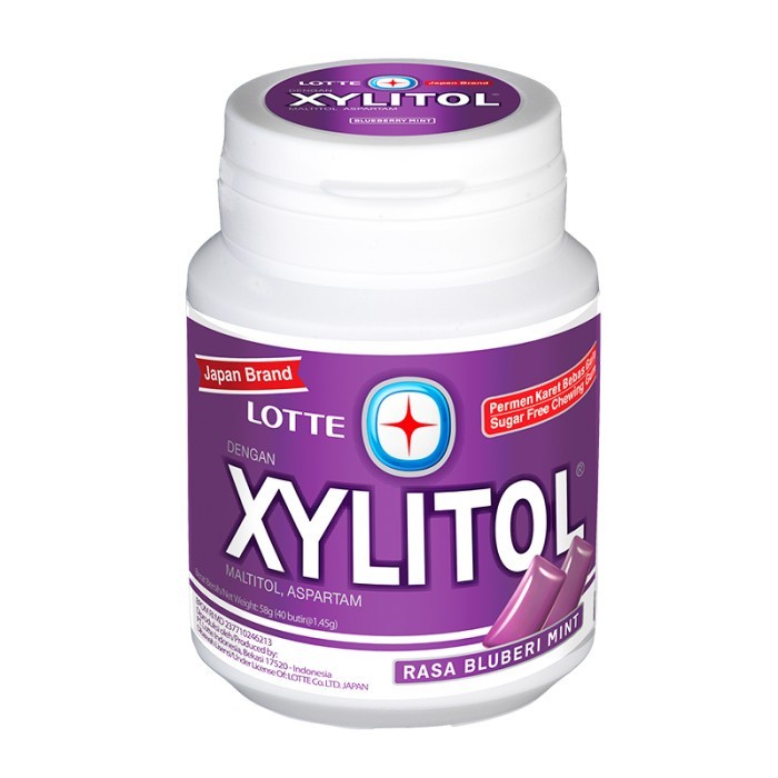 

LOTTE XYLITOL Permen Karet Bluberi Mint 55.1 g