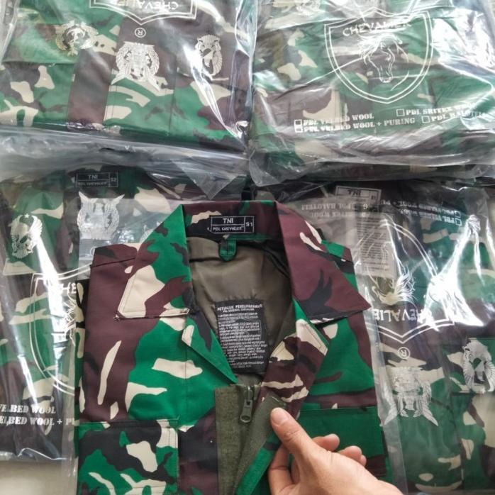 Pdl Velbet Chevalier