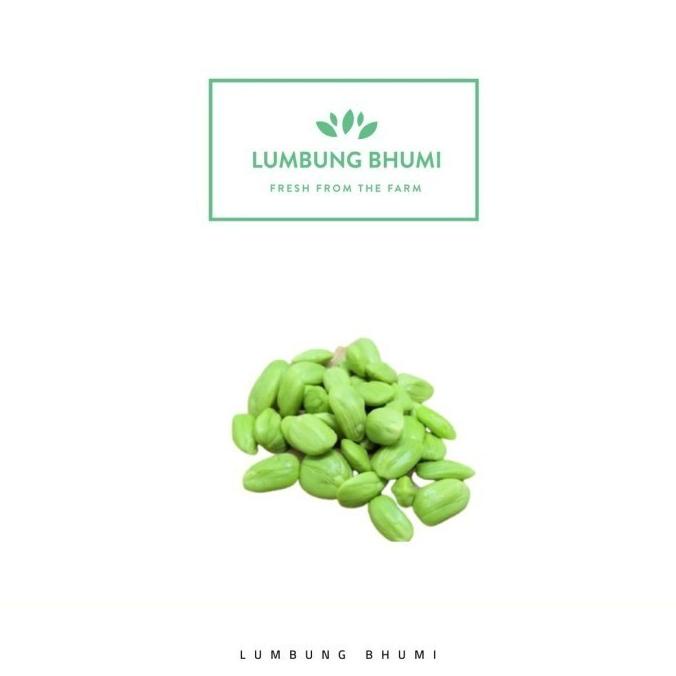 

Lumbung Bhumi - Pete Kupas 250 Gr ( Sayur Curah )