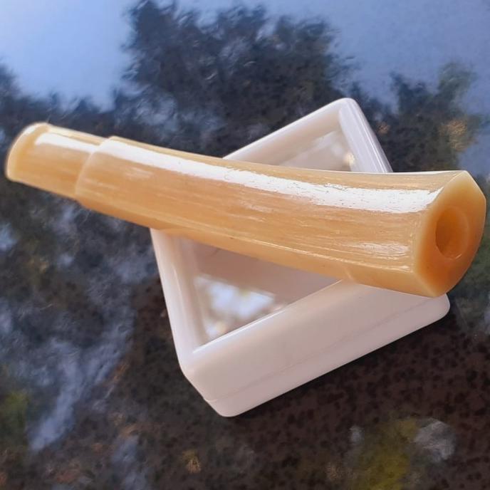pipa once iga duyung asli murah kotak 10cm