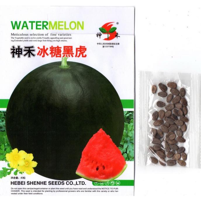 Diskon Semangka Hitam Bulat Non Biji 40 Biji