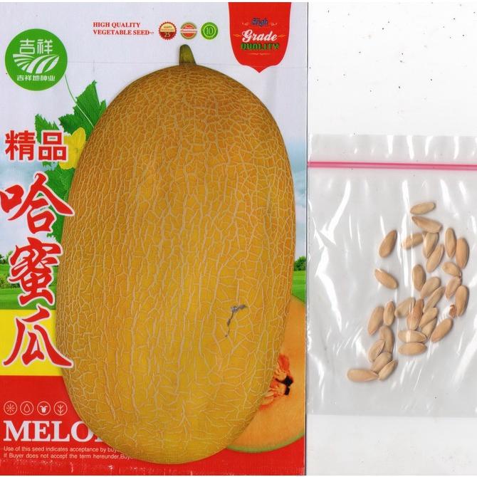 Promo Benih Melon Import F1 Golden Yellow Hami 35 Biji