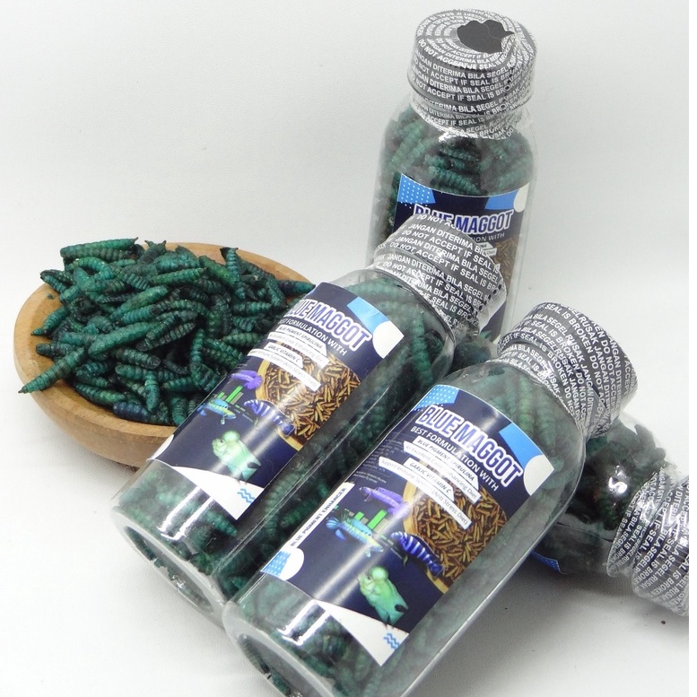Kemasan botol BLUE Maggot
