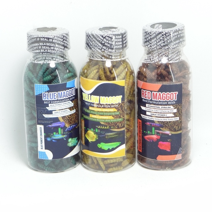 Kemasan botol Maggot BLUE/YELLOW/RED