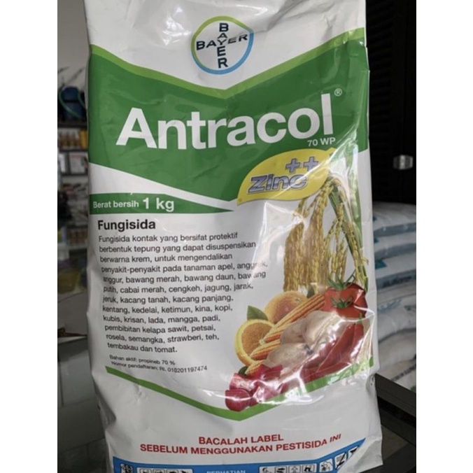 ~@~@~@~@] Fungisida ANTRACOL - 1 KG