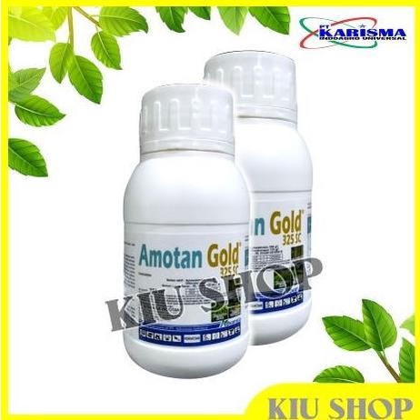 +++++] AMOTAN GOLD 325 SC - 250ml / FUNGISIDA Penyakit Hawar Upih Daun Padi