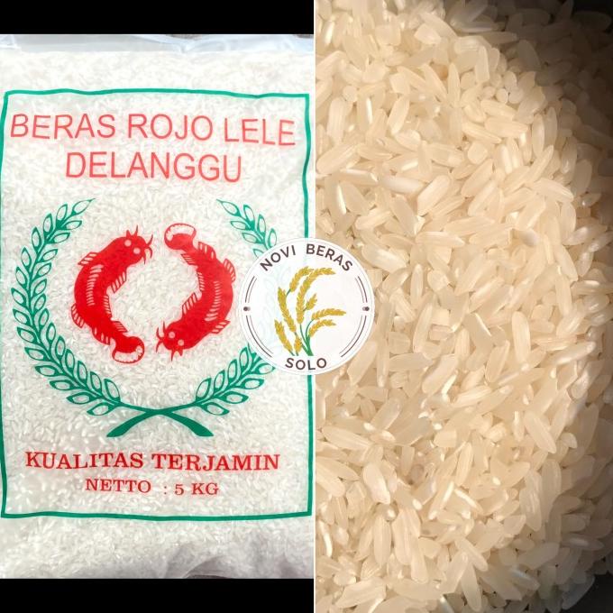 

Produk Unggulan] Beras Raja Lele / Rojo Lele 5 kg PROMO BERAS SURAKARTA BERAS DELANGGU