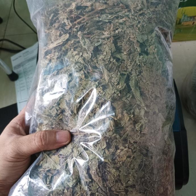 

500 G GR GRAM TEH DAUN MINT MENTHOL KERING DRIED SPEARMINT HERBAL TEA