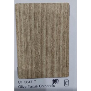 }}}}}}] HPL CARTA CT 5647T OLIVE TAXUS CHINENSIS