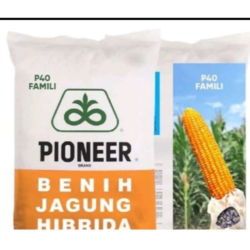 Benih jagung PiONEER P40 family 1kg