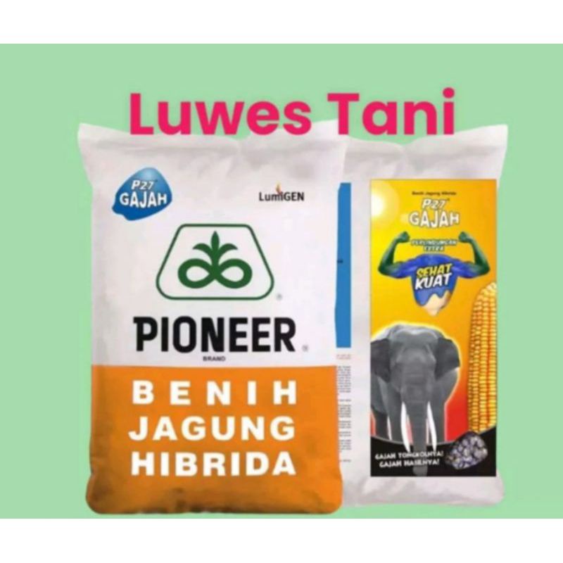 PIONEER P27  GAJAH 1KG