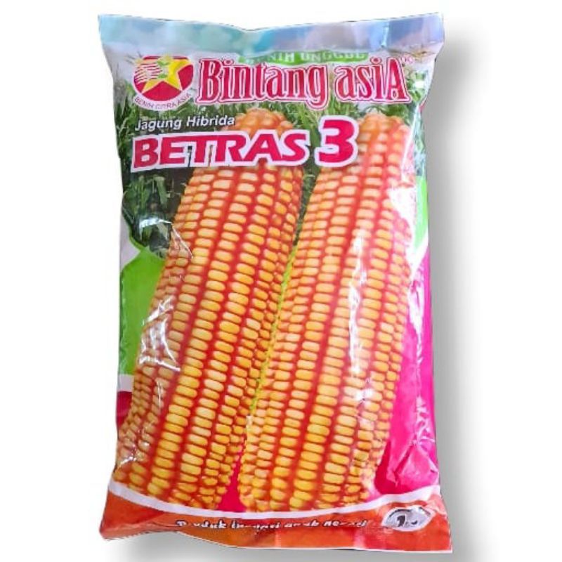 benih jagung BETRAS 3