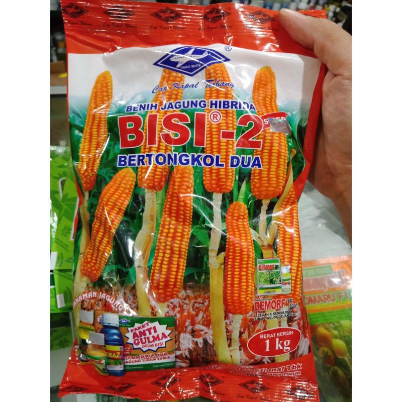 jagung hibrida BISI 2