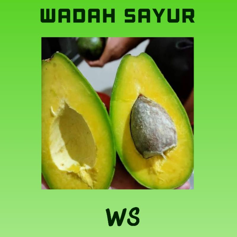 

Buah Alpukat ( 500 Gram ) | Wadah Sayur Bogor
