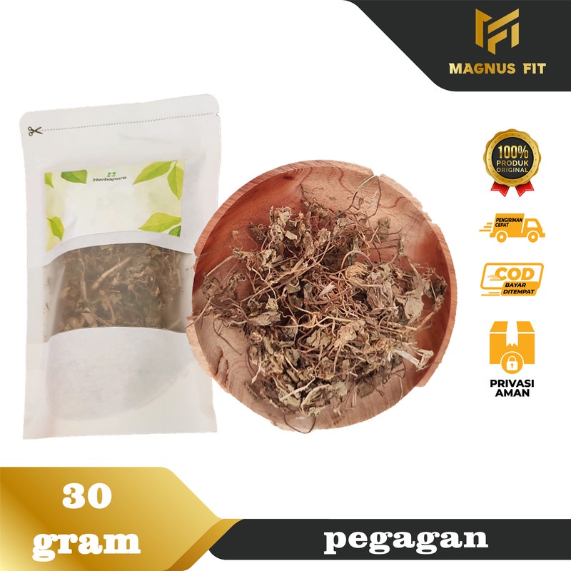 

☘️Magnus Fit☘️ Daun Pegagan Kering Asli Menjaga Kesehatan Tubuh