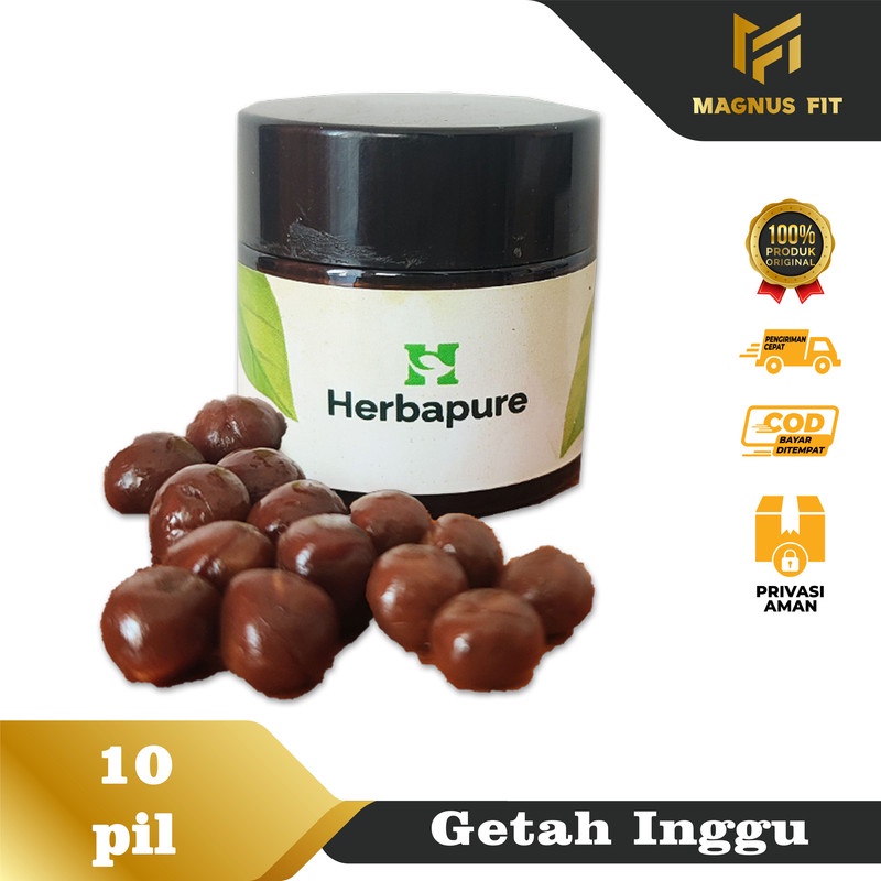 ☘️Magnus Fit☘️ Pil Getah Inggu Asli Tanpa Campuran untuk Sakit Kepala Pusing,Migraine,Vertigo