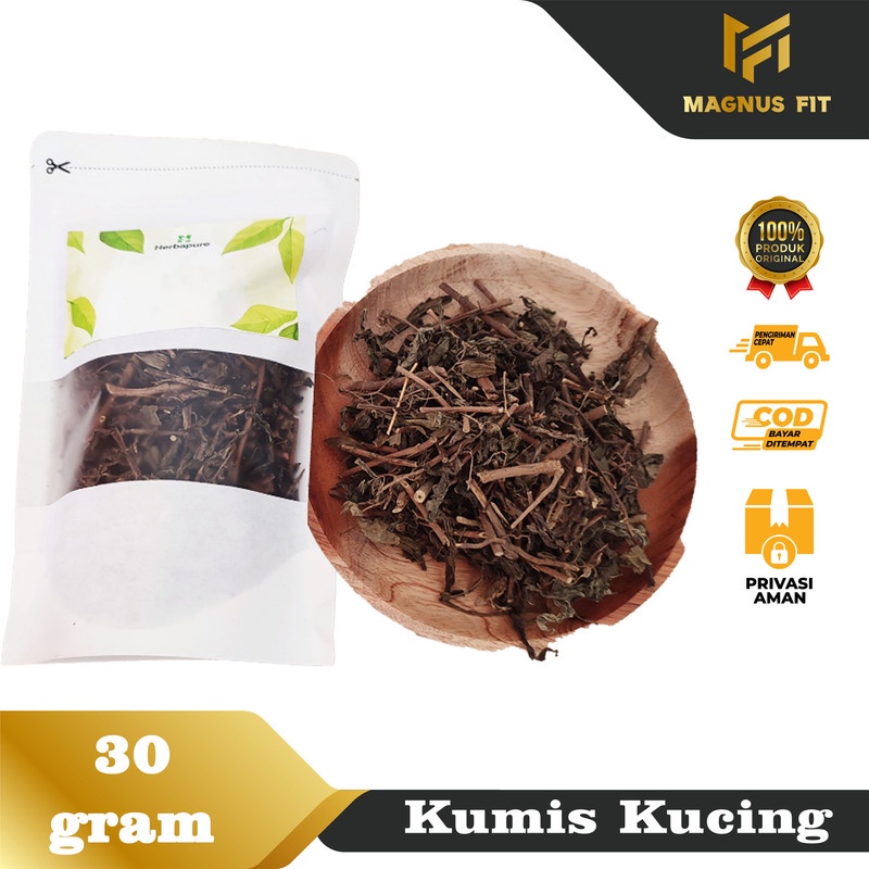 

☘️Magnus Fit☘️ Daun Kumis Kucing Kering Asli