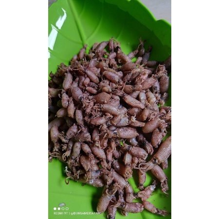 

Baby Cumi Tawar Premium 1 kg