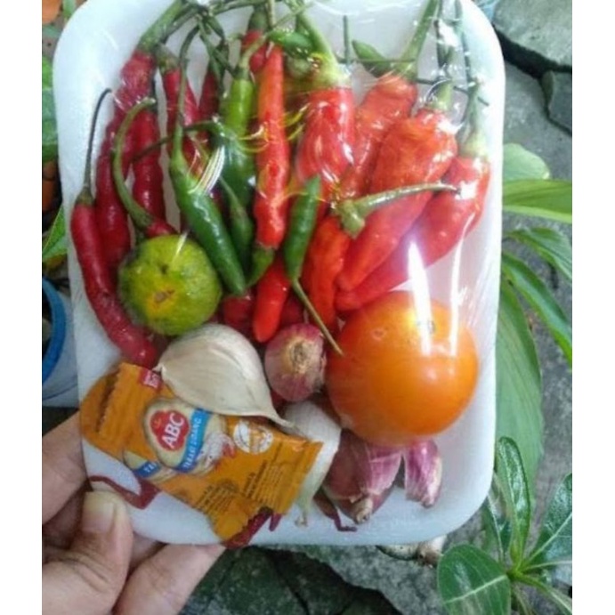 

paket nyambel terasi