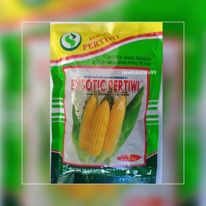 benih bibit jagung manis EXOTIC F1 produksi pertiwi