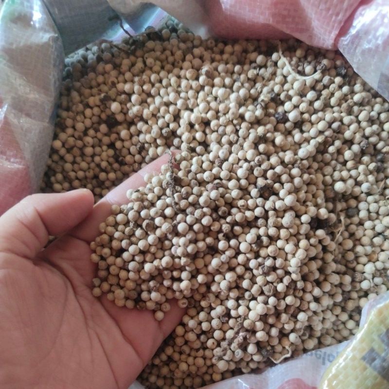 

Merica bulat/sahang/lada /100 gram