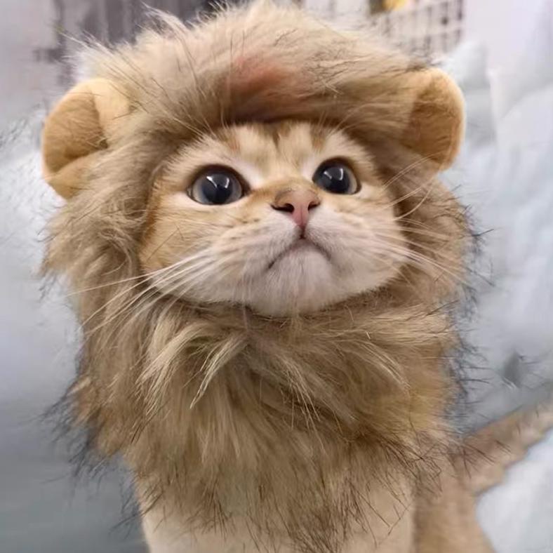 Termurah Kostum Kucing Anjing Model Wig Rambut Singa Topi Cat Lion Hair Pakaian Baju Kucing - Kostum Wig Singa Dengan Telinga Untuk Anjing / Kucing Promo Ndy746