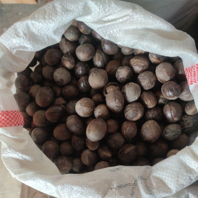 

pala bulat /100 gram