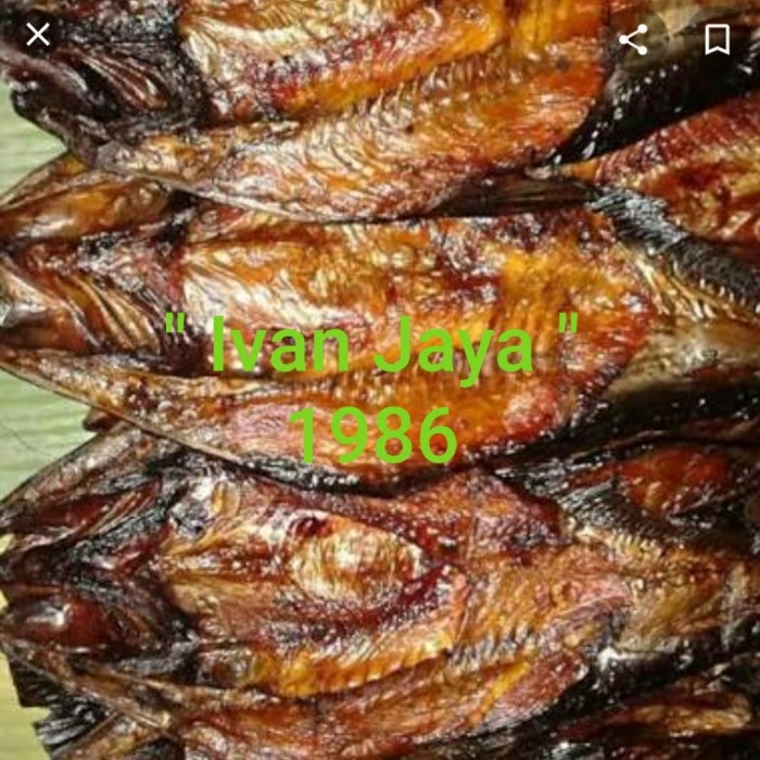 

Ikan Saleh Salai Limbad Asap Sidempuan 1Kg Bestseller Daging