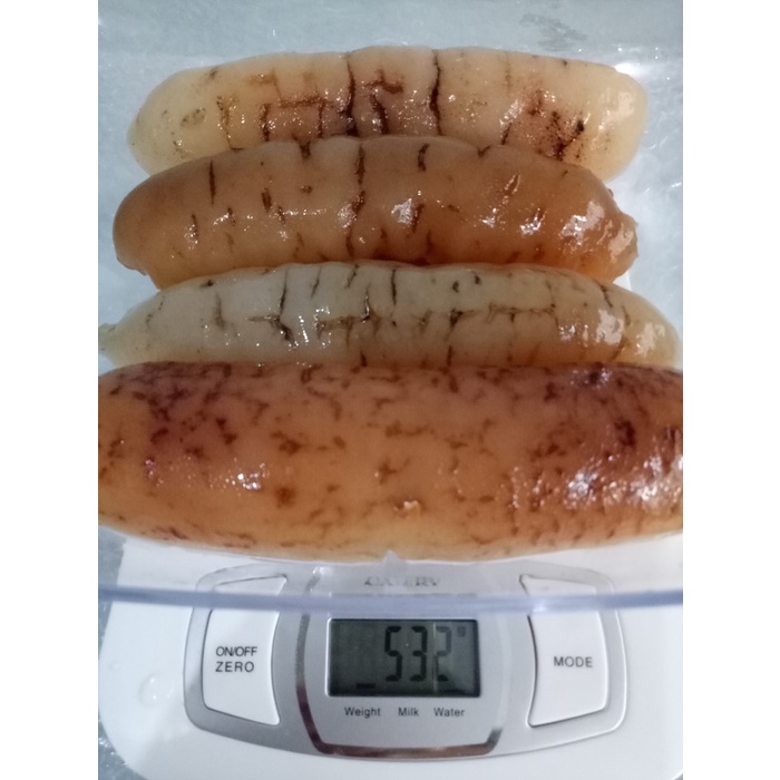 

Haisom/Hoisem/Teripang Gosok Asli Belitung Bestseller Daging