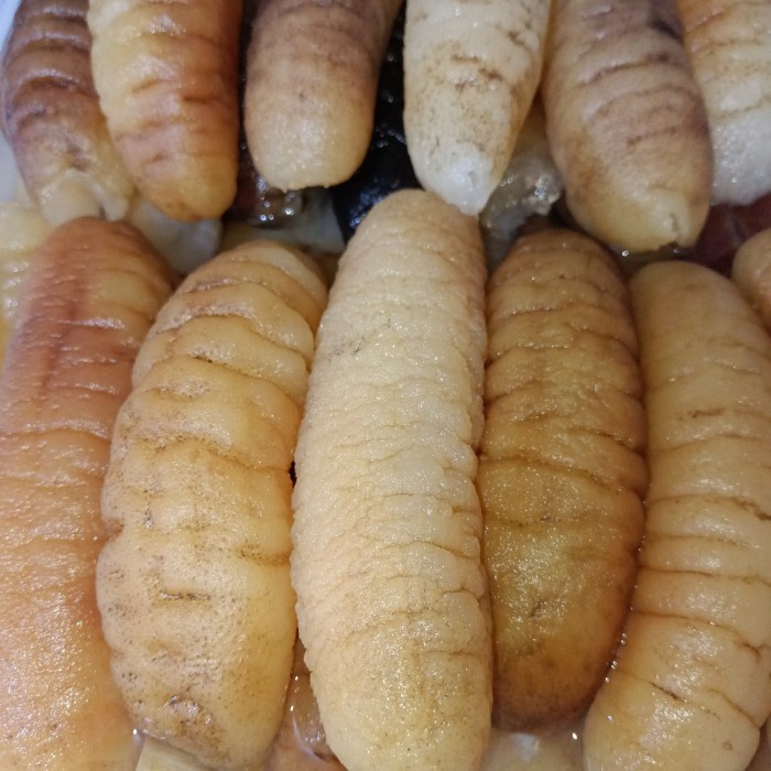 

Haisom Hoisem Teripang Nyuk Sem Asli Belitung Bestseller Daging