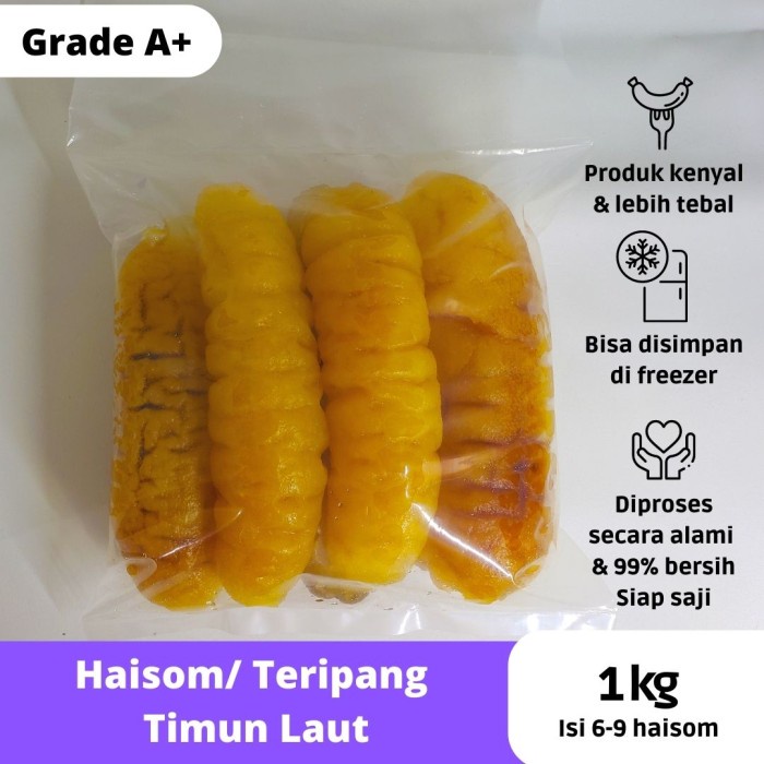 

Teripang / Haisom Gosok 1Kg Bangka Belitung Basah Hai Som Hoisem Bestseller Daging