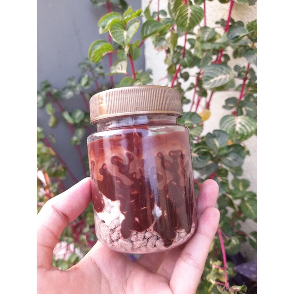 

Choco jar crispy 200 ml