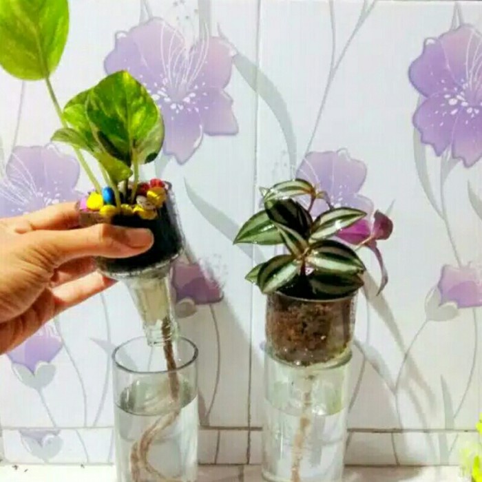 [Vas] Vas Bunga Hidroponik Pot Tanaman Botol Kaca Pot Unik [Simple]