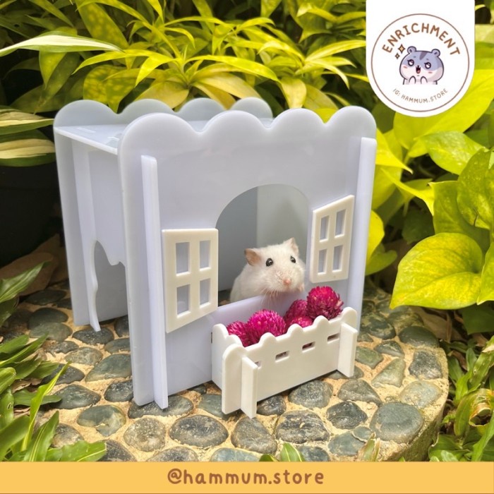 Rumah Hamster Akrilik Acrylic Hamster Hideout Kandang Hamster