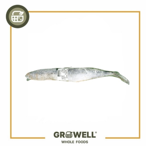 

JAPANESE SPANISH MACKEREL 100gr