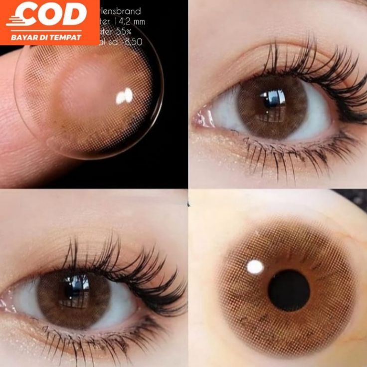 Best Price5b5Ap SOFTLENS NATUAL BROWN MINUS 14 mm - SOFTLENS NATURAL- softlens brown normal - softle