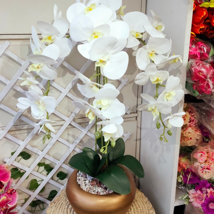 Ready stok anggrek latex premium vas cendol gold