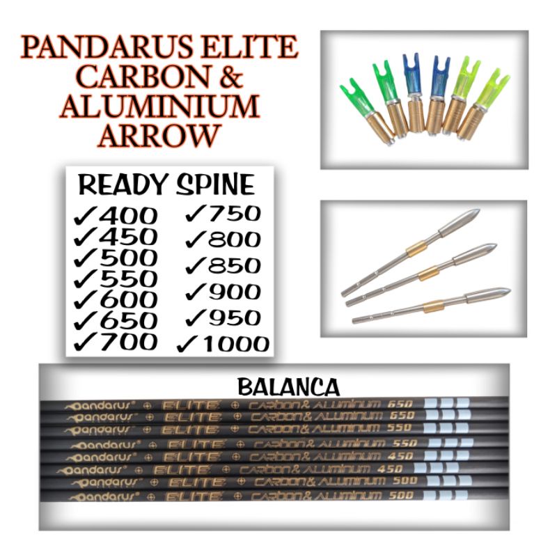 Pandarus Elite Carbon Aluminium Arrow Belum Dirakit