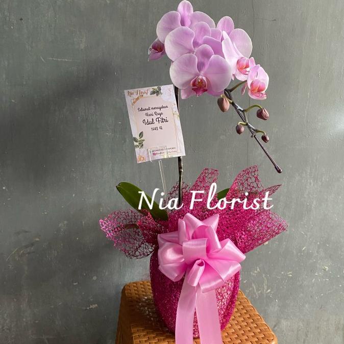 

Bunga Meja Anggrek Bulan Koleksi isi 1 Hadiah Gift Hampers